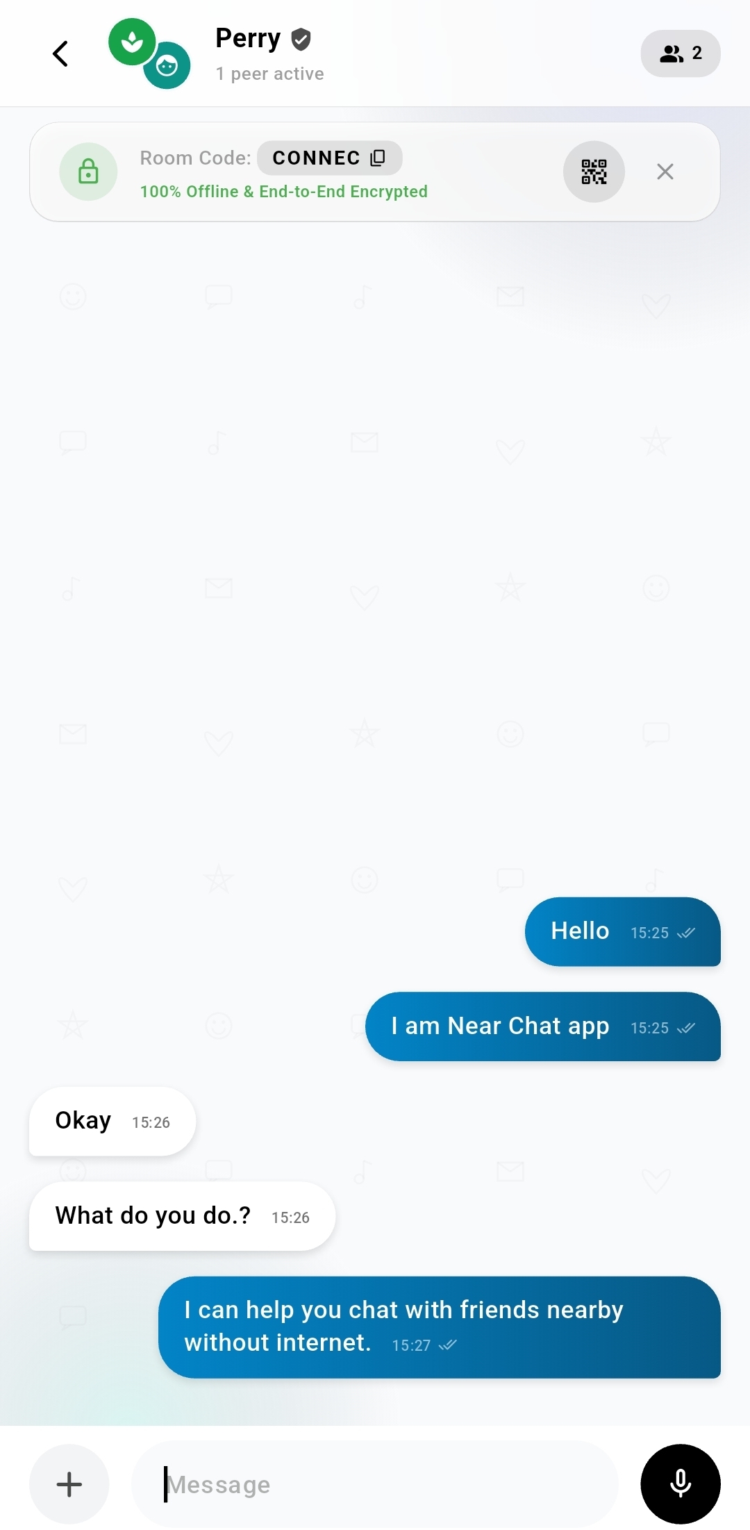 Chat Interface Screen